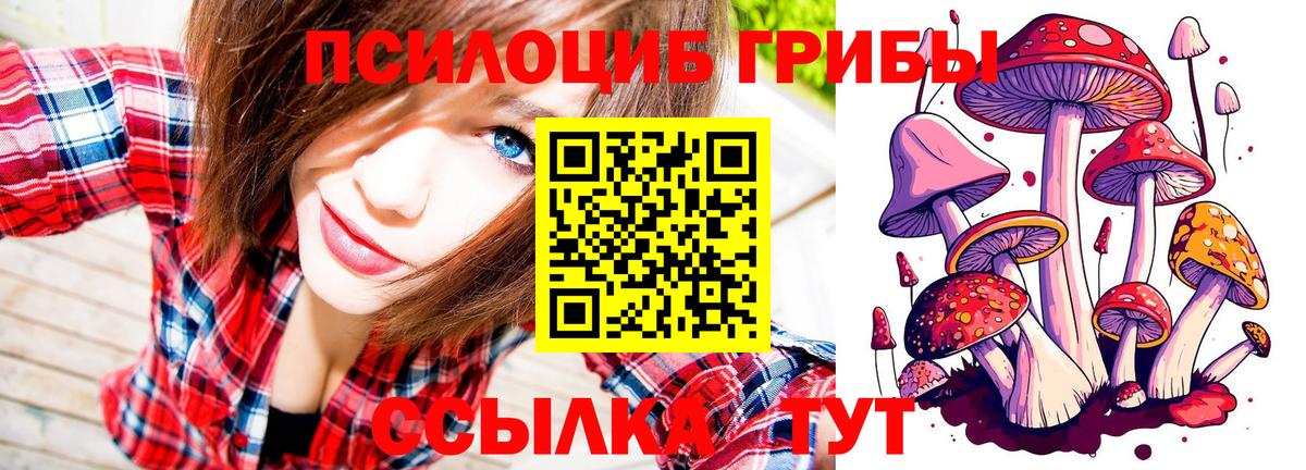 Галлюциногенные грибы Psilocybe  Вход с VPN  Киров 